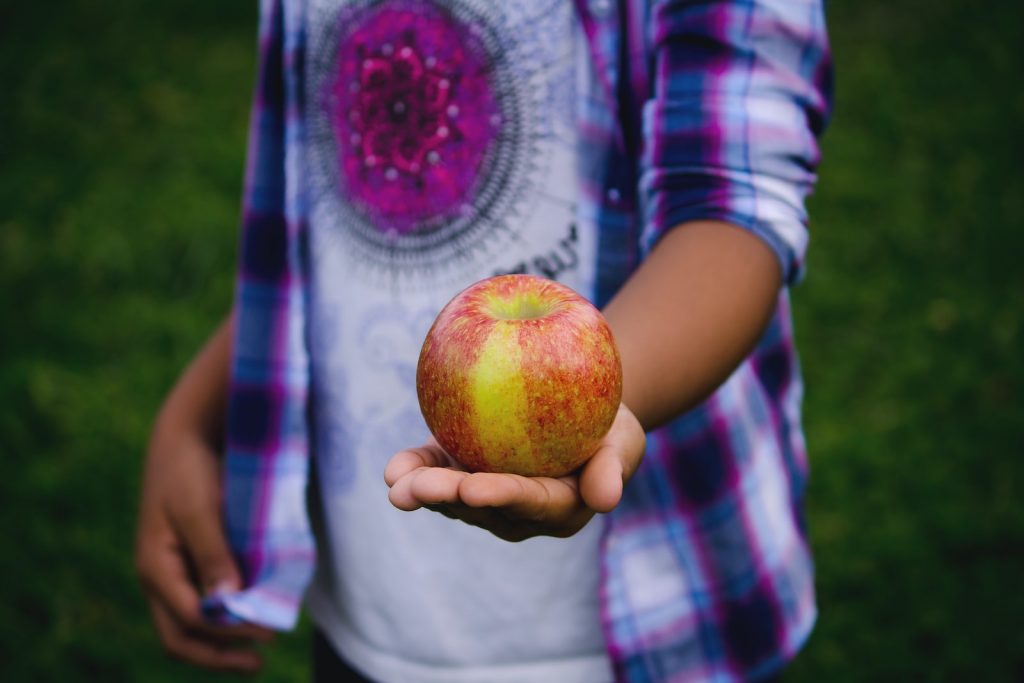 A person in a plaid shirt holding an apple. 