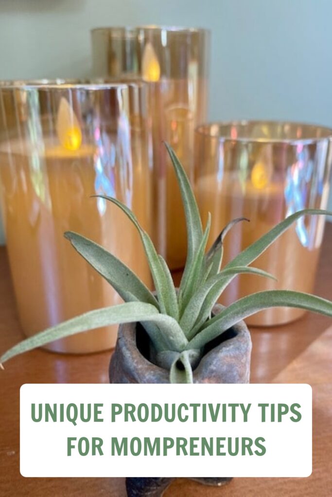 Productivity tips for mompreneurs image with candles and an air plant.